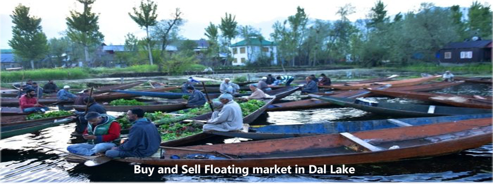 BUY AND SELL FLOATING MARKET IN DAL LAKE